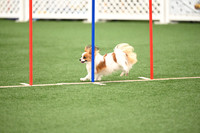LMP_1072