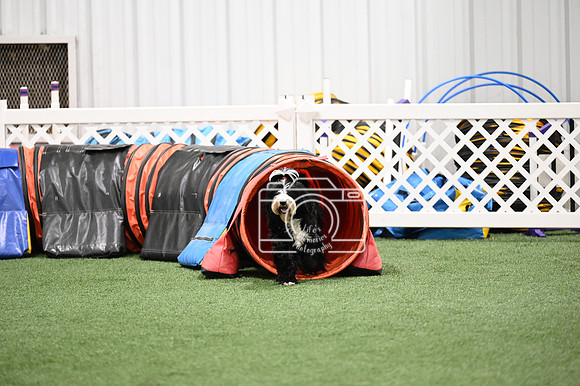 LMP_0731