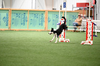 LMP_0018