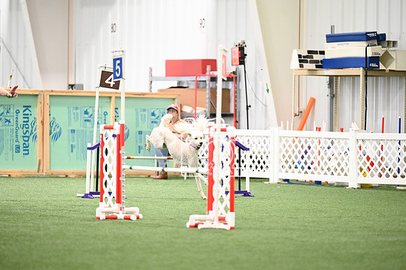 LMP_0092