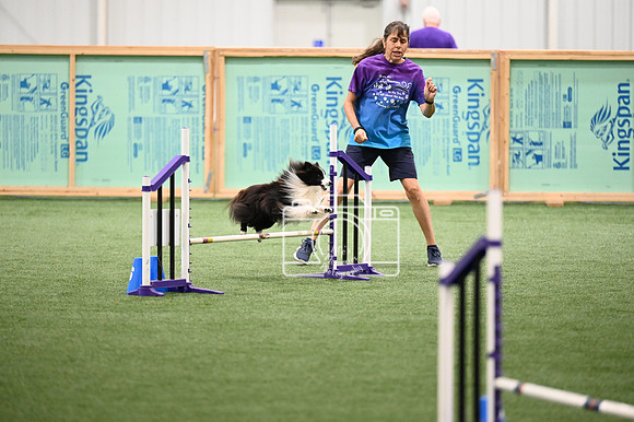 LMP_6599