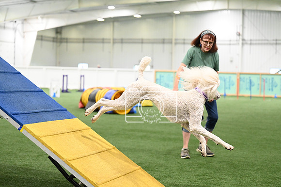 LMP_6705
