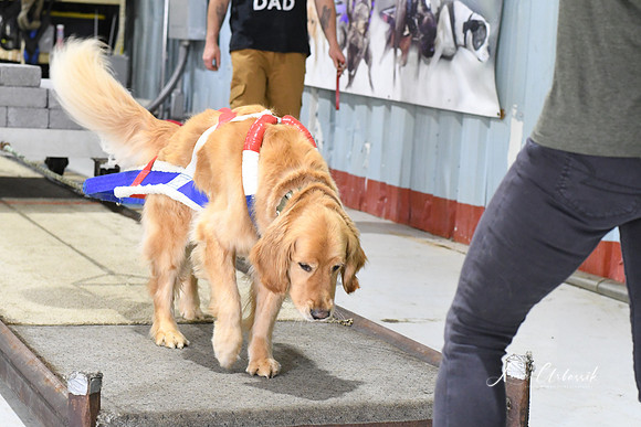 DSC_0639