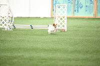LMP_6286