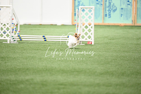 LMP_6286