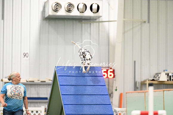 LMP_9042