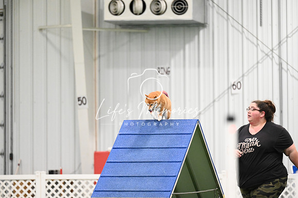 LMP_8382