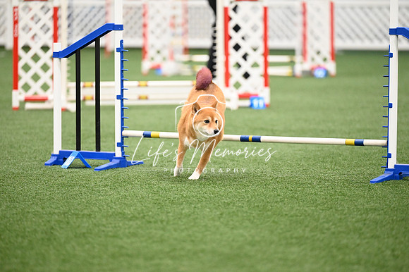 LMP_8391