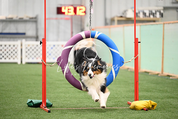 LMP_7631