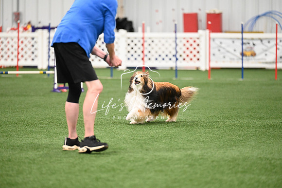 LMP_1738