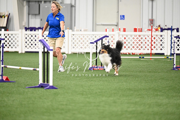 LMP_1772
