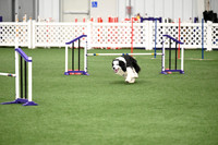 Excellent Master - Jumps with Weaves - 16