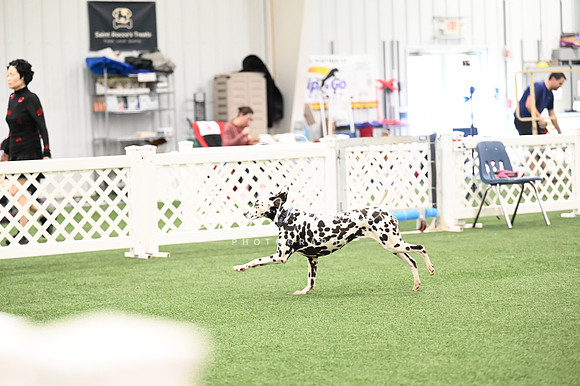 LMP_0688