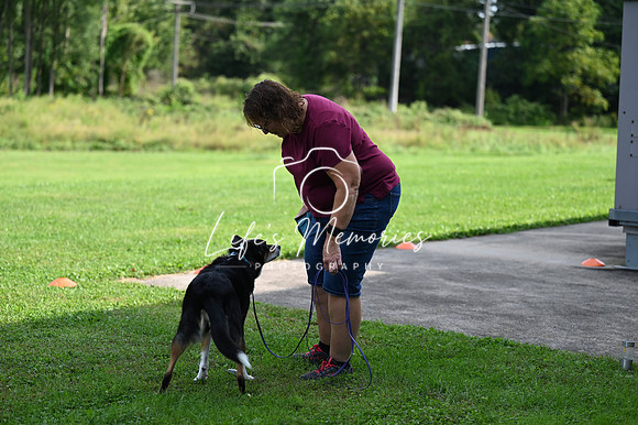 LMP_3122