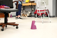 LMP_4008