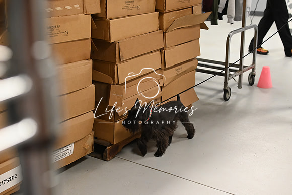 LMP_4609