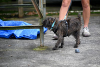 LMP_2765