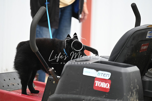 LMP_7831