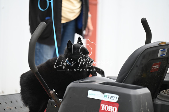 LMP_7833
