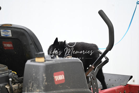 LMP_7842