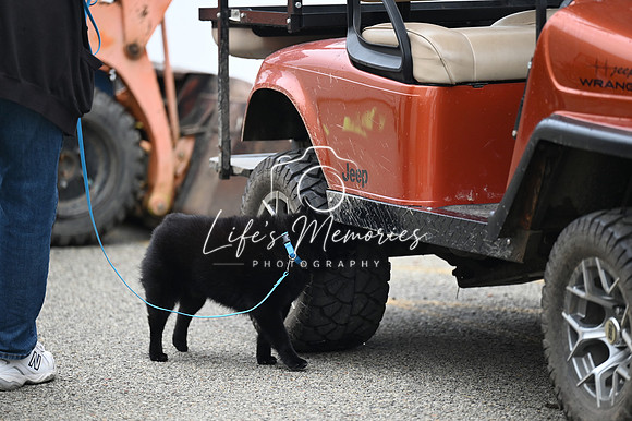 LMP_7862