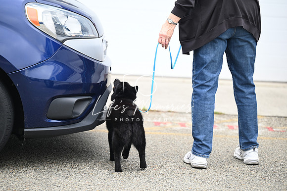 LMP_7877