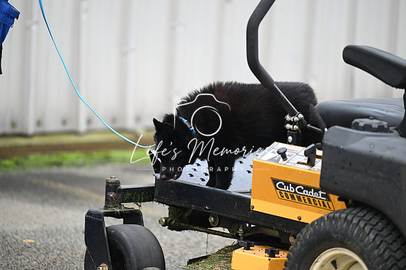 LMP_7901