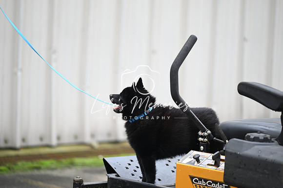 LMP_7905