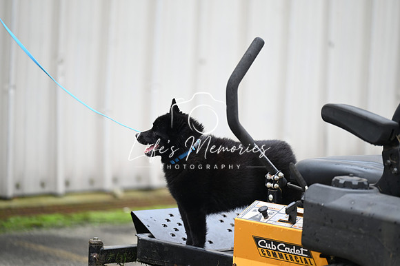 LMP_7906