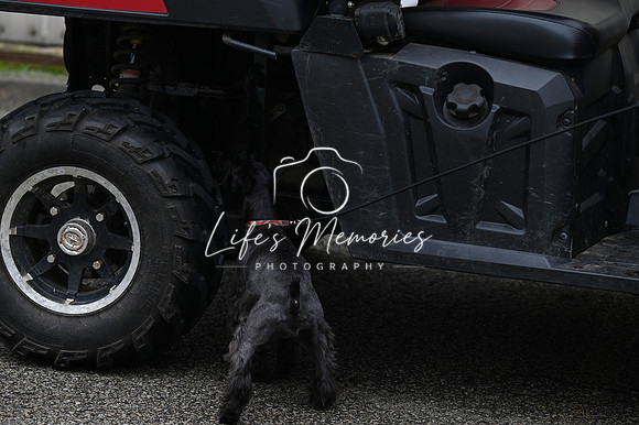 LMP_8277