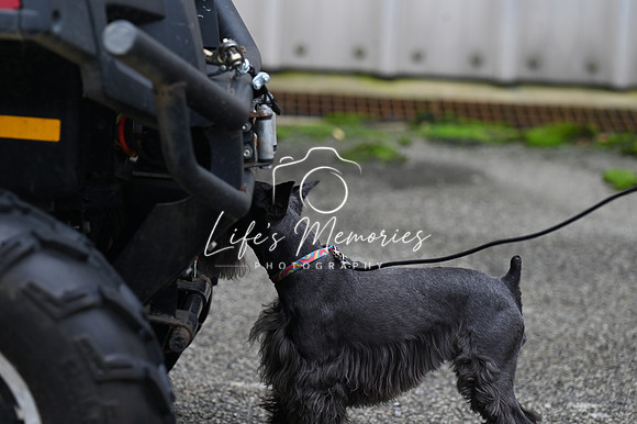 LMP_8316