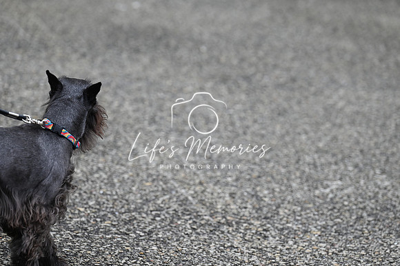 LMP_8314