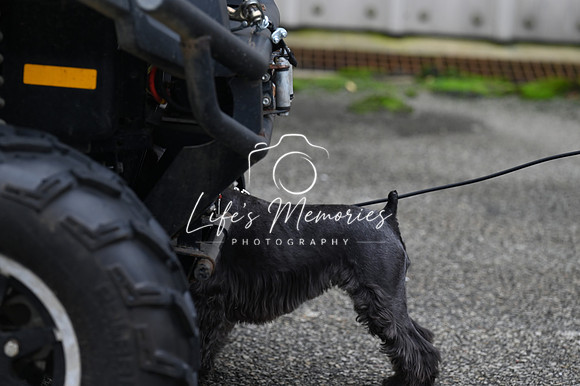 LMP_8323
