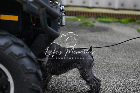 LMP_8324
