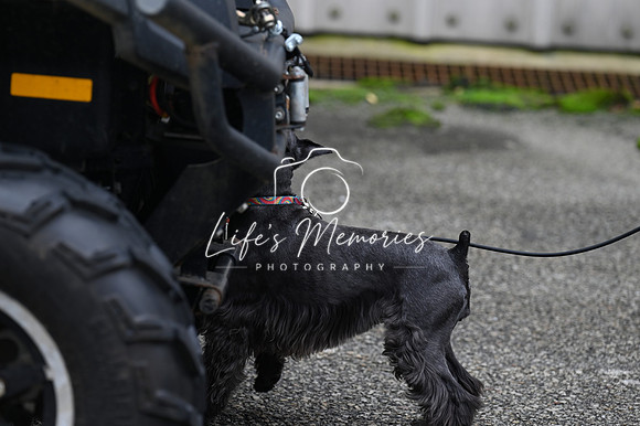 LMP_8325