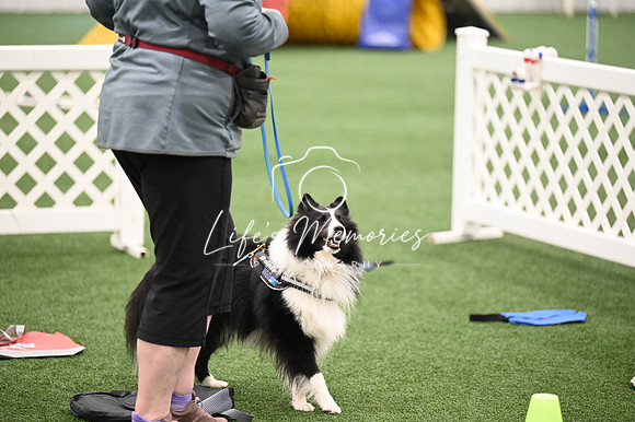 LMP_5560