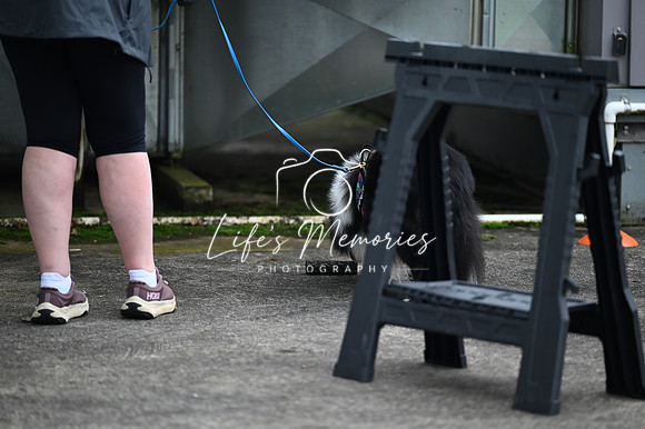 LMP_2855