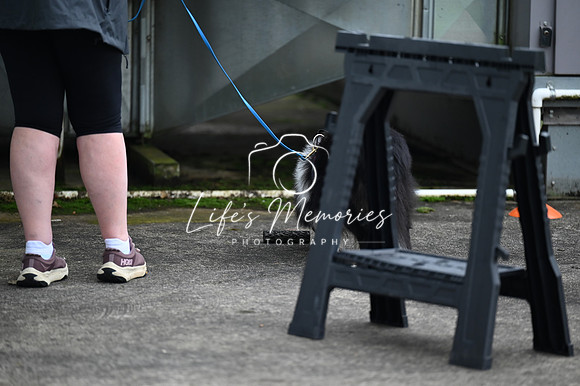 LMP_2856