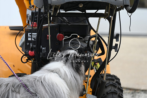 LMP_8423