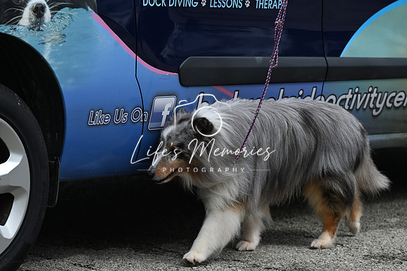 LMP_8485