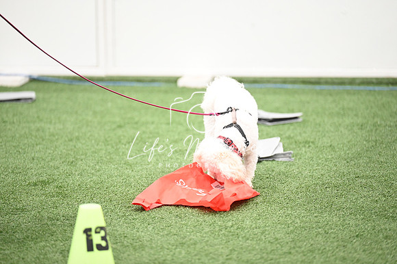 LMP_5116