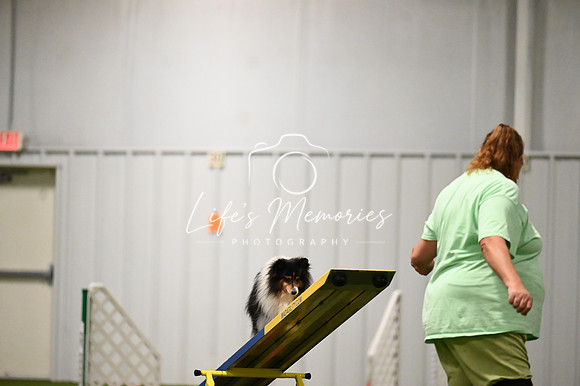 LMP_3465