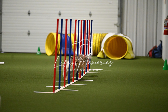 LMP_8059