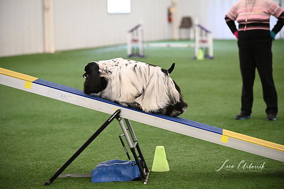 LMP_8530