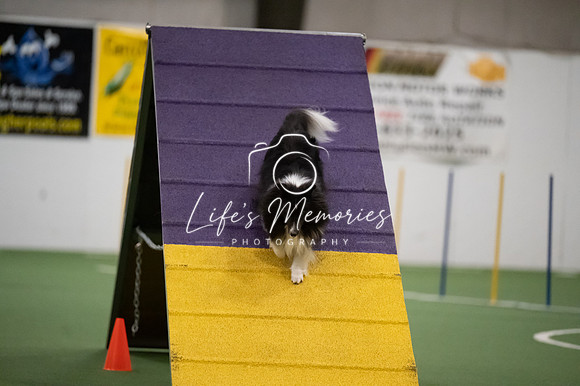 LMP_6436