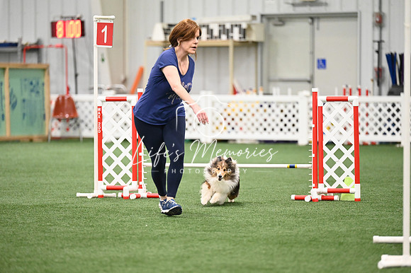 LMP_4104