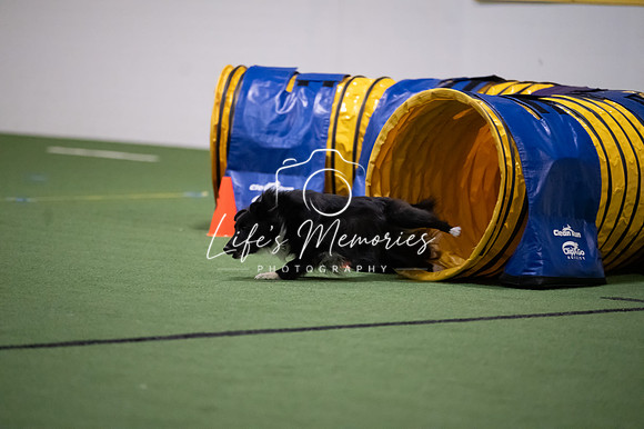 LMP_7225