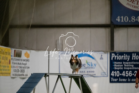 LMP_1681