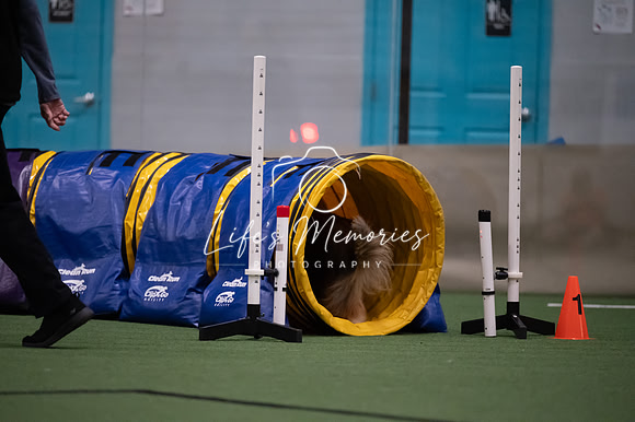 LMP_4913