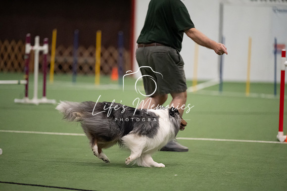 LMP_0358